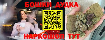 сатива Новозыбков