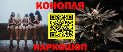 сатива Новозыбков