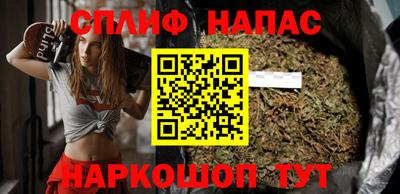 сатива Новозыбков