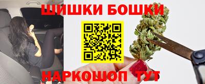сатива Новозыбков