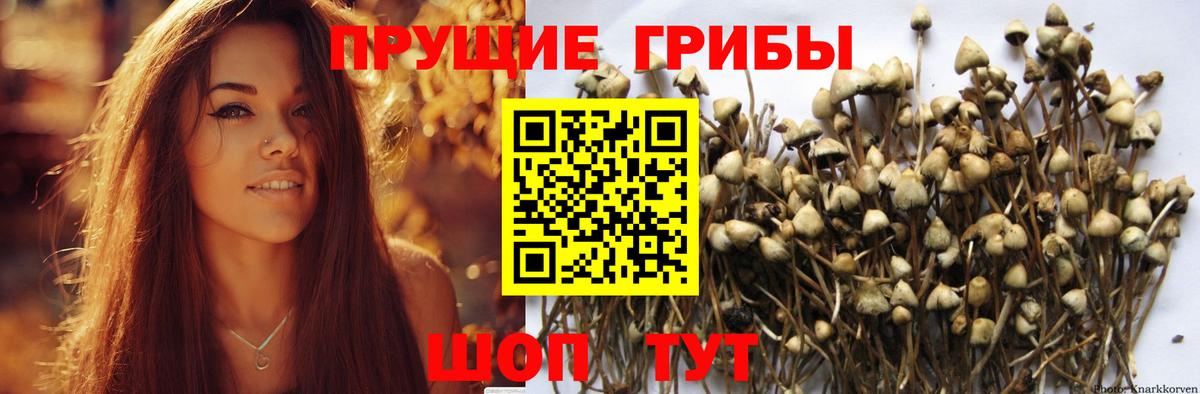 Соликамск  Галлюциногенные грибы GOLDEN TEACHER  Вход с VPN 